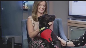 Pet Of The Week 0524