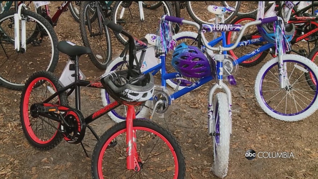 Police And Pedals