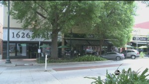 Small Business Alex Pkg