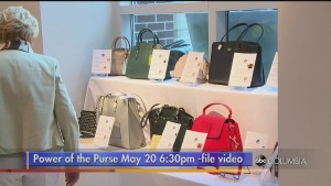Power Of Purse