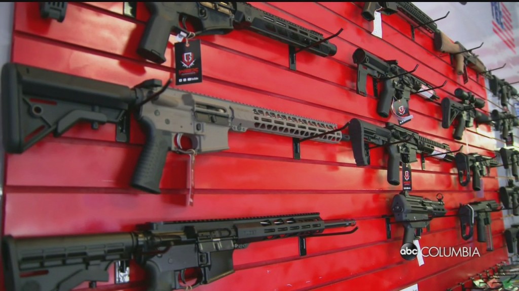 Gun Laws Capitol Hill Talks