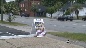 Alex Live Voter Turnout Pkg