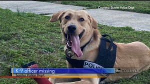 Missing Sumter K9
