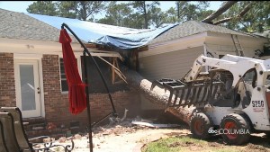 Storm Damage Alex Pkg