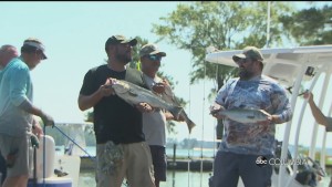 Midlands Military Matters 632022