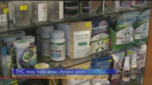 Cbd Chronic Pain