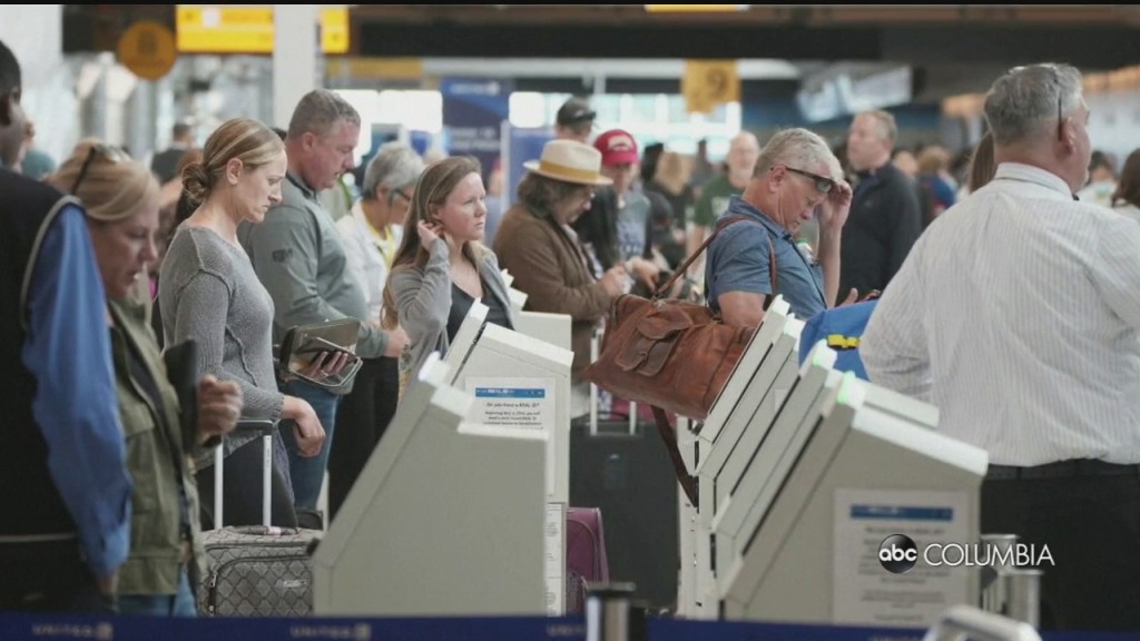 Summer Travel Chaos