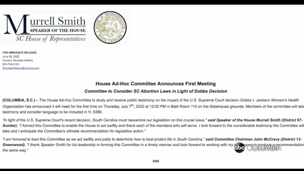 Sc Abortion Committee