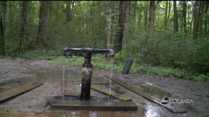 Otr Healing Springs Pkg