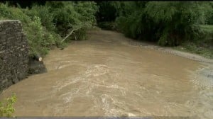 Main And Whaley Flooding
