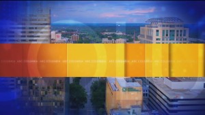 Local Living: Sc State Museum Deals And Miracle League Baseball!