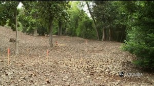 Virginia Hylton Park