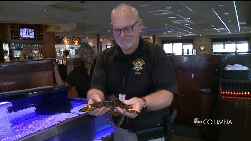 Special Olympics Sc Hosts Annual "cops And Lobsters" Fundraiser