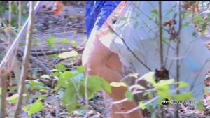 Palmetto Prep Cleanup