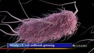 Outbreak Of E. Coli Reported In Six States