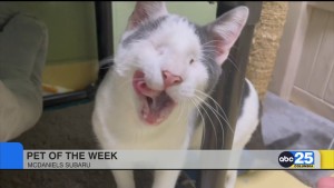 Pet Of The Week