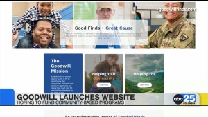 Goodwill Launches First Website