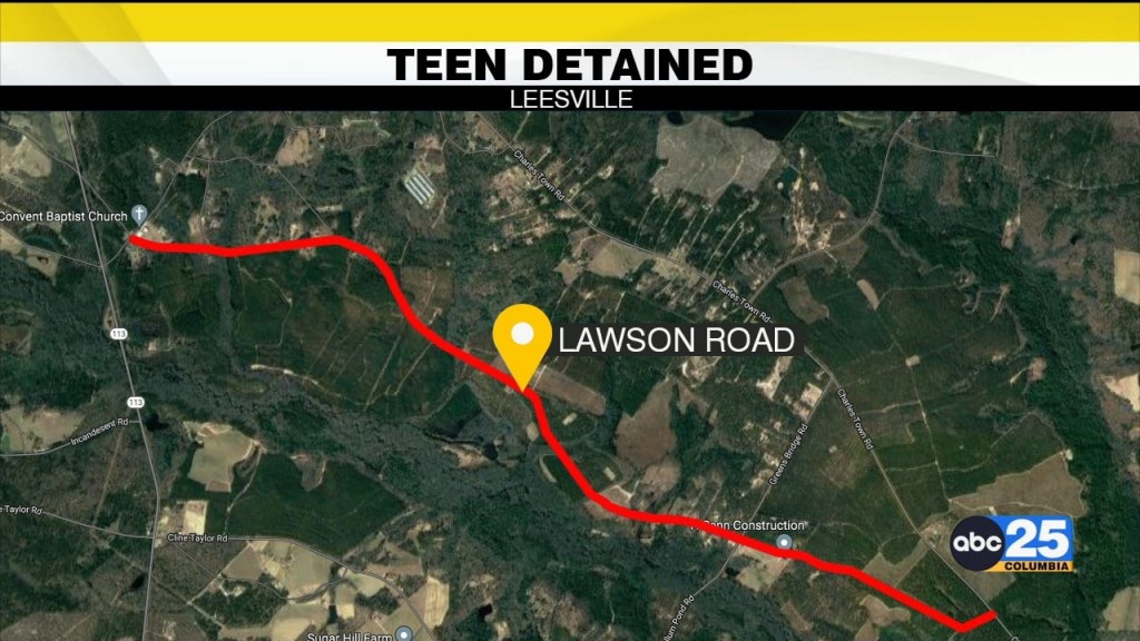 Teen Detained For Shooting Man, Say Lexington Deputies