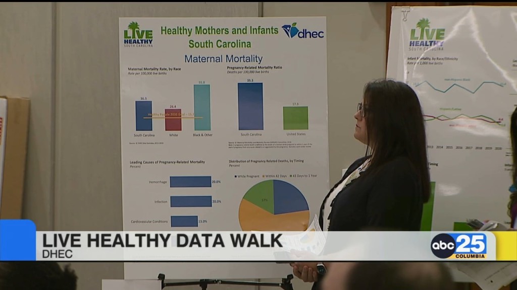 Dhec Holds S.c. Live Healthy Data Walk