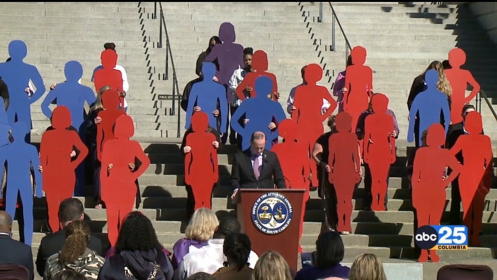 25th Annual Silent Witness Ceremony Honors Victims Of Domestic Violence