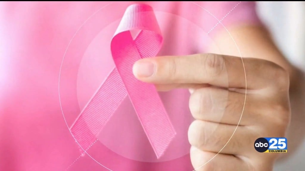 October Is Breast Cancer Awareness Month