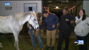 Hooves Heart & Hope Fundraiser Intv.
