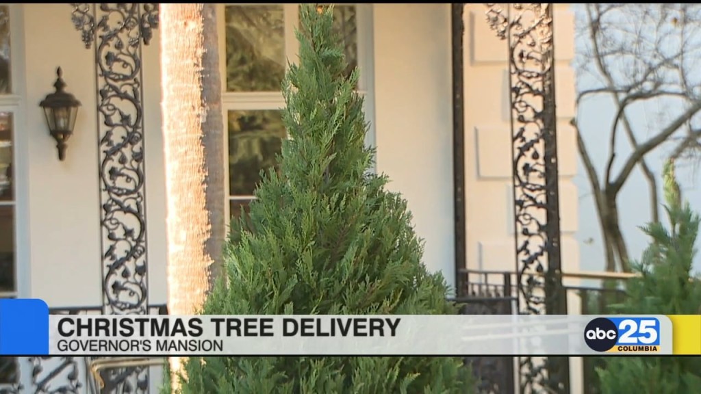 Christmas Tree Delivered To Governor’s Mansion