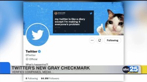 Twitter Grey Check Mark