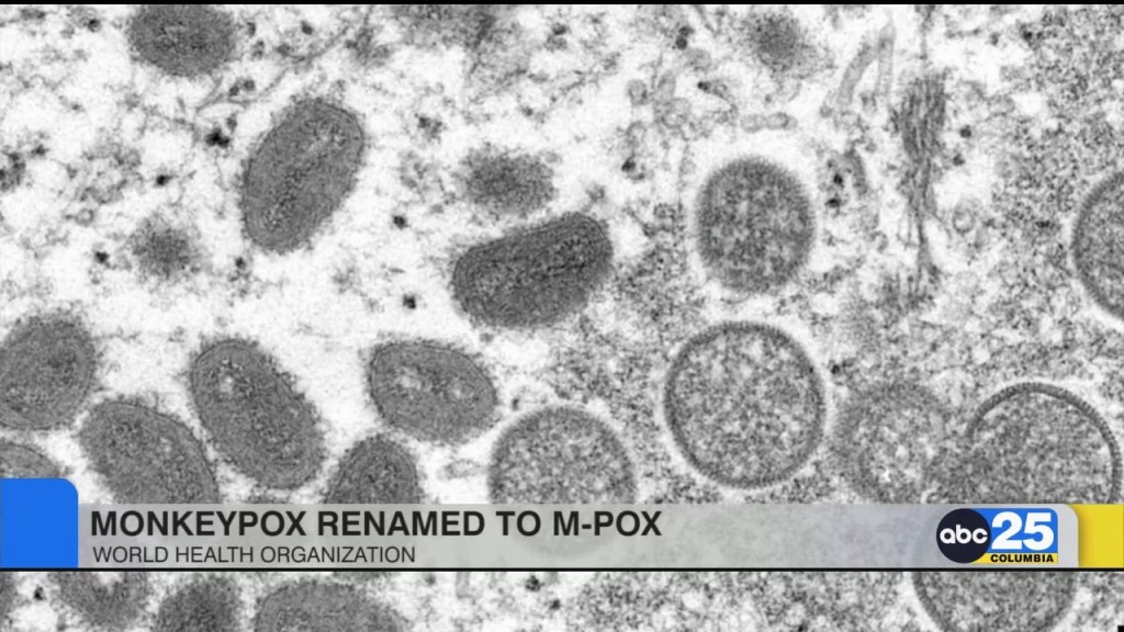 World Health Organization: Monkeypox Renamed To M Pox