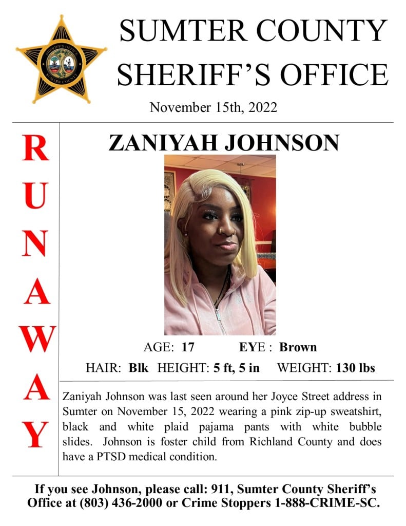 Runaway Poster Zaniyah Johnson