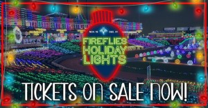 Fireflies Holiday Lights