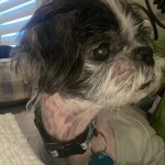 Roscoe