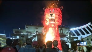 Tiger Burn 2022