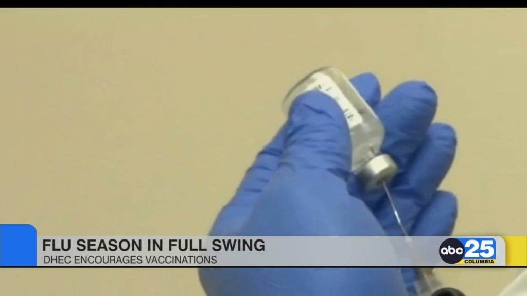 Flu Season In Full Swing, Dhec Encourages Vaccinations