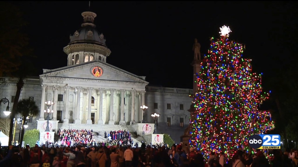 Christmas Tree Lights Up At State House