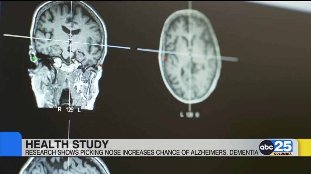 Health Study Research Shows Picking Nose Increases Chance Of Alzheimers
