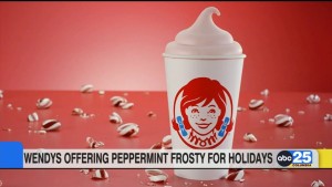 Wendy's Limited Edition Peppermint Drink
