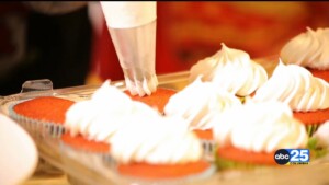 National Cupcake Day