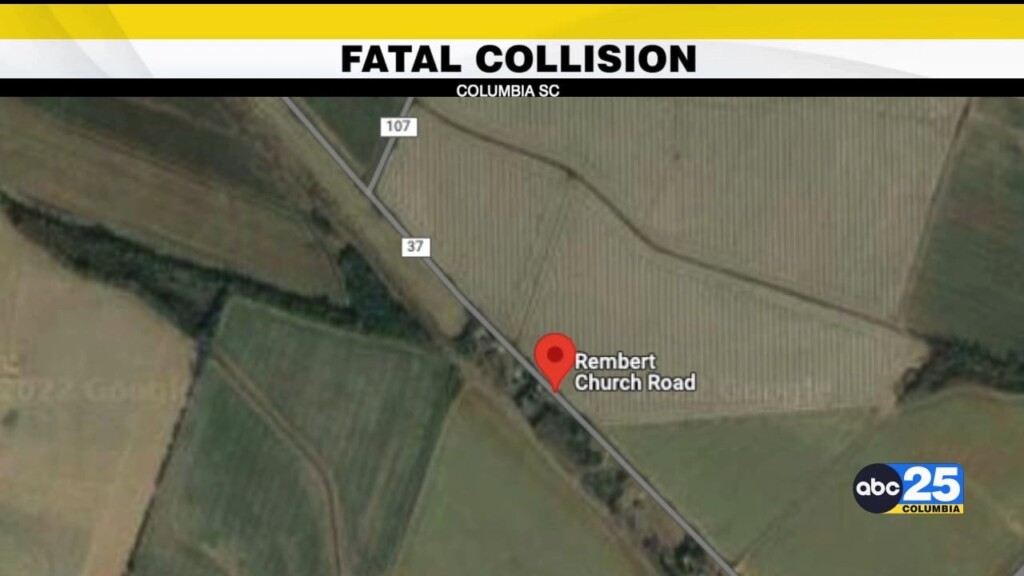 Fatal Collision At Lee County