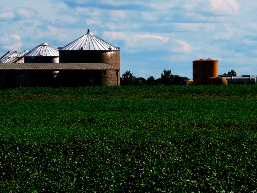 Agriculture Business