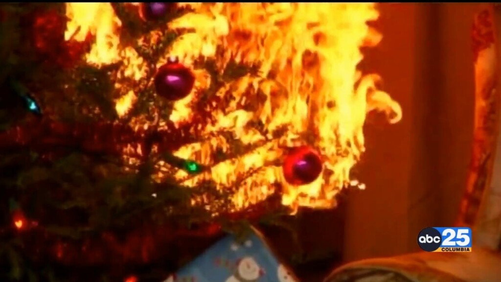 Christmas Holiday Fire Safety Pkg