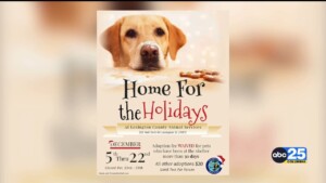 Lexington County Animal Services' Home For The Holidays Adoption Special Runs Through Dec.22