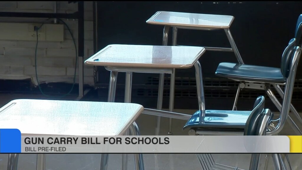 Gun Carry Bill For Schools