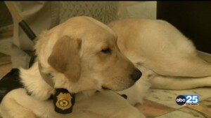 K9 Pkg