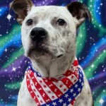 Tucker