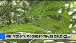 Kids Edibles Poison