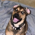 Chloe