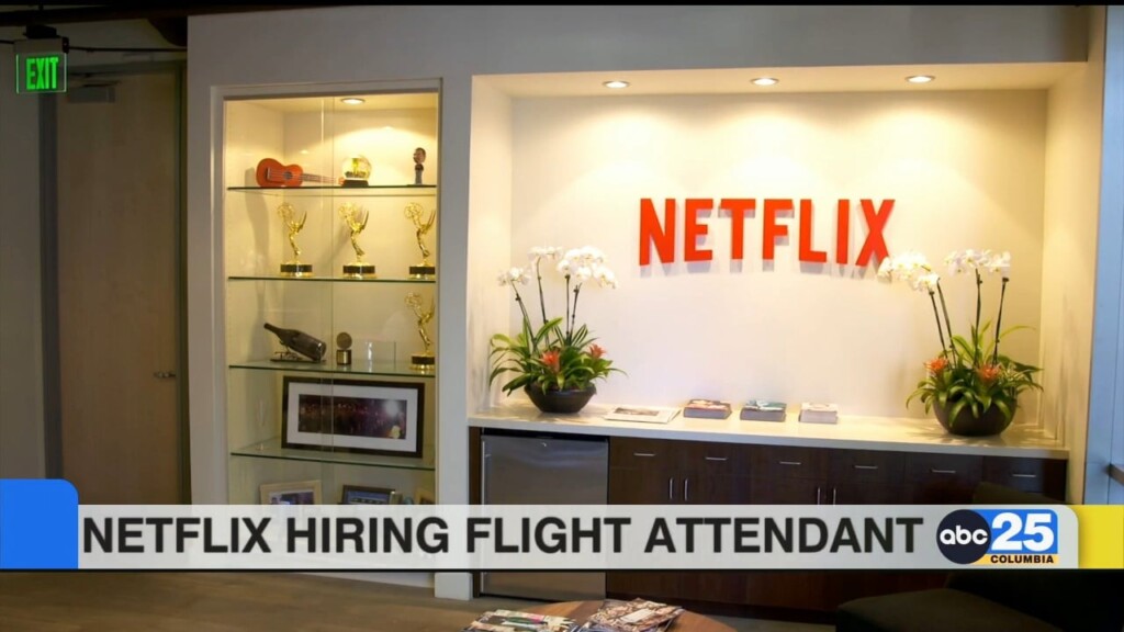 Looking For A Job? Netflix Is Hiring A Flight Attendant