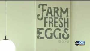 Egg Prices Soar Nation Wide