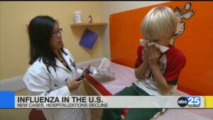 Influenza Peak